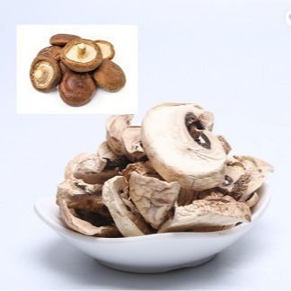 volume seco japonês do saco do cultivo do cogumelo de Shiitake de 10x10mm Brown