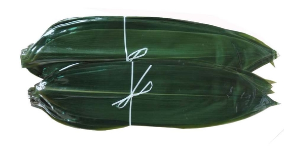 Folhas de bambu frescas Zongye 7.5cm do Sashimi da decoração do sushi