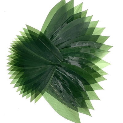 Folhas de bambu frescas Zongye 7.5cm do Sashimi da decoração do sushi
