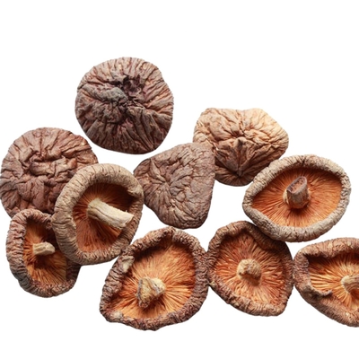 cogumelo de Shiitake seco de 100g 250g 1kg 3kg com ISO HACCP do IFS de BRC