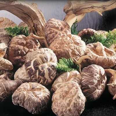 Anos de superfície lisos secos saudáveis de vida útil de cogumelo de Shiitake 1kg 2