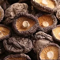 Anos de superfície lisos secos saudáveis de vida útil de cogumelo de Shiitake 1kg 2