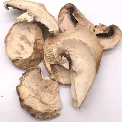 volume seco japonês do saco do cultivo do cogumelo de Shiitake de 10x10mm Brown