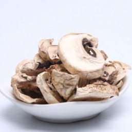 volume seco japonês do saco do cultivo do cogumelo de Shiitake de 10x10mm Brown