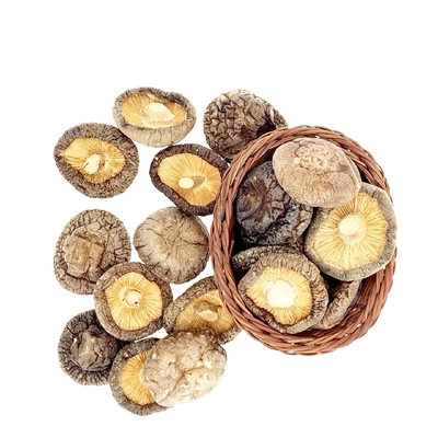 Japonês seco do cogumelo de Shiitake de HACCP 1kg 3kg com bom gosto