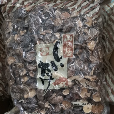 O cogumelo de Shiitake seco maioria natural secou os cogumelos de Shiitake orgânicos