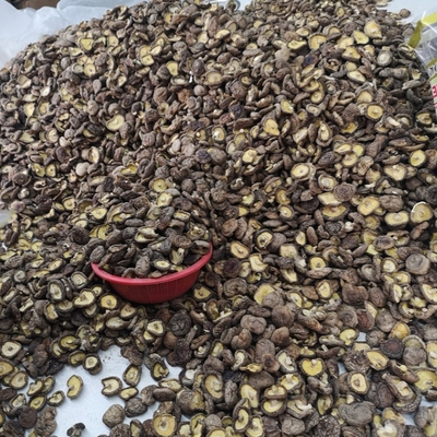 O cogumelo de Shiitake seco maioria natural secou os cogumelos de Shiitake orgânicos