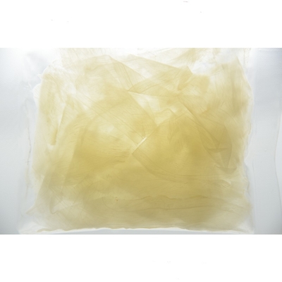 HACCP 10g cortado afastado conservou o sushi Ginger In Sweet Vinegar