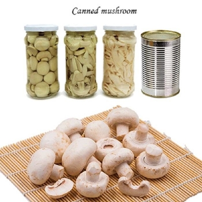 Vegetais de frutos enlatados do cogumelo do cogumelo que Champing fatias do cogumelo